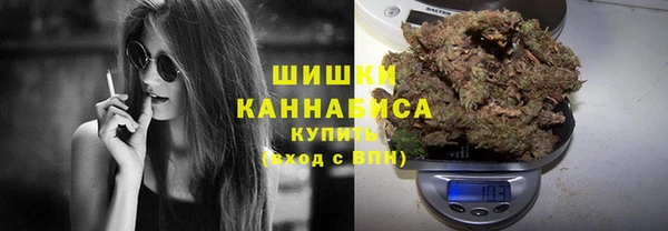 твердый Данков