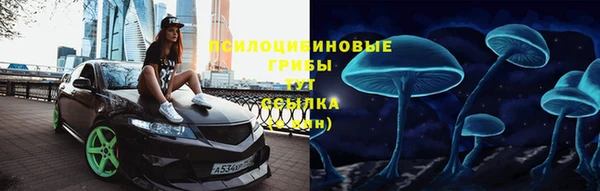 прущая мука Пересвет