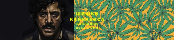 молекула духа Переславль-Залесский