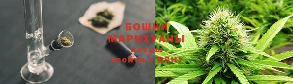 молекула духа Переславль-Залесский
