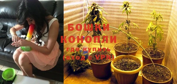 прущая мука Пересвет