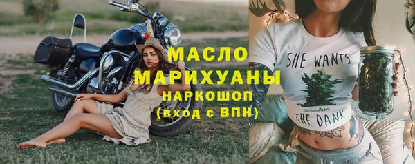молекула духа Переславль-Залесский