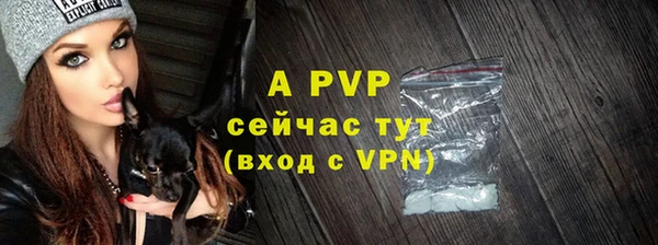 mdpv Богданович