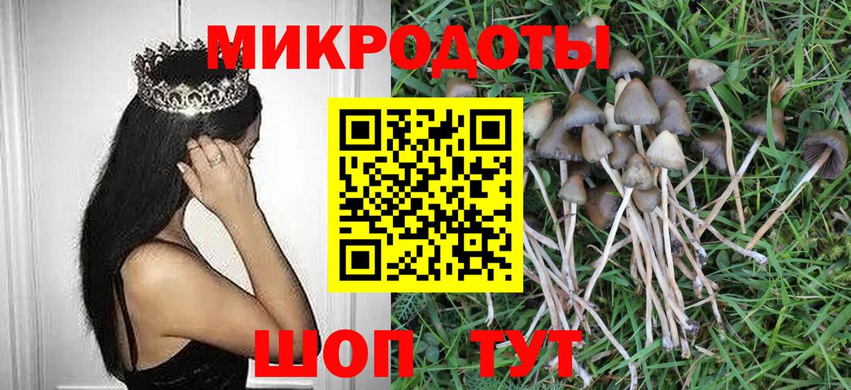 Галлюциногенные грибы Cubensis  Галлюциногенные грибы Cubensis  Шумерля 