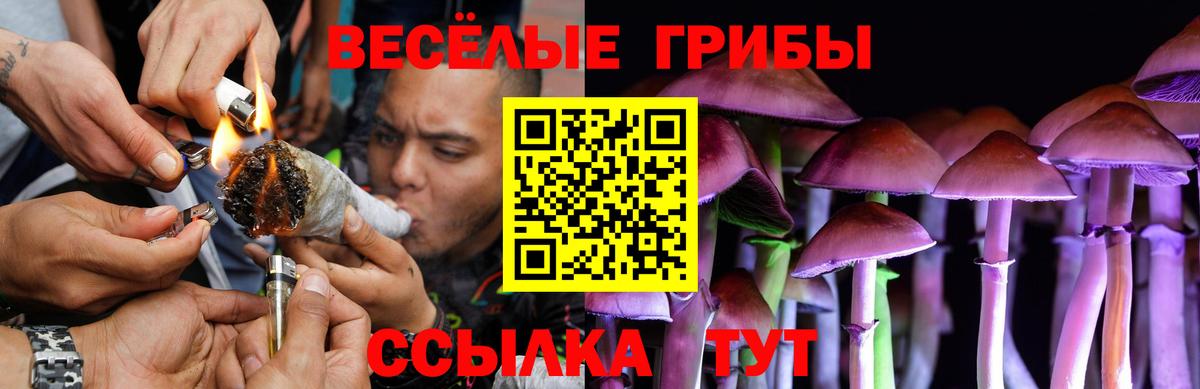 Галлюциногенные грибы мухоморы  Шумерля 